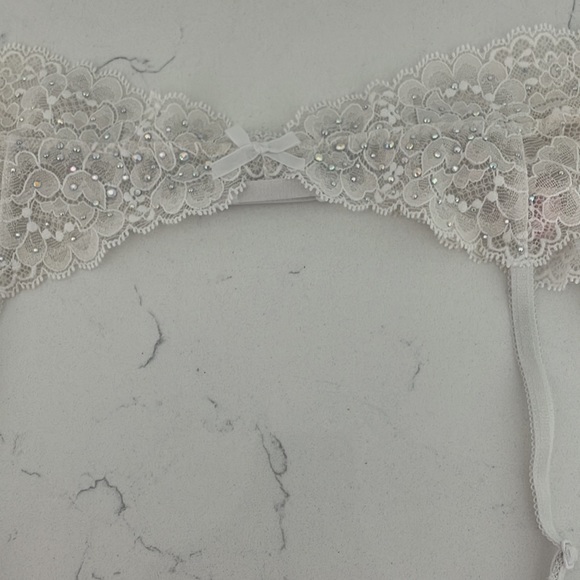 Victoria Secret Sequin Panties and Garter - Picture 5 of 8